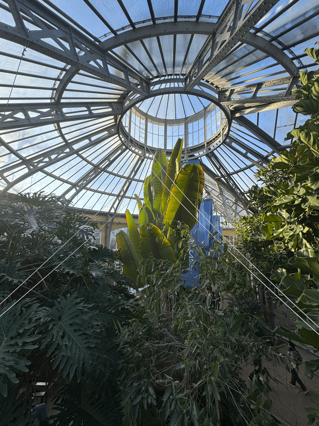 botanical