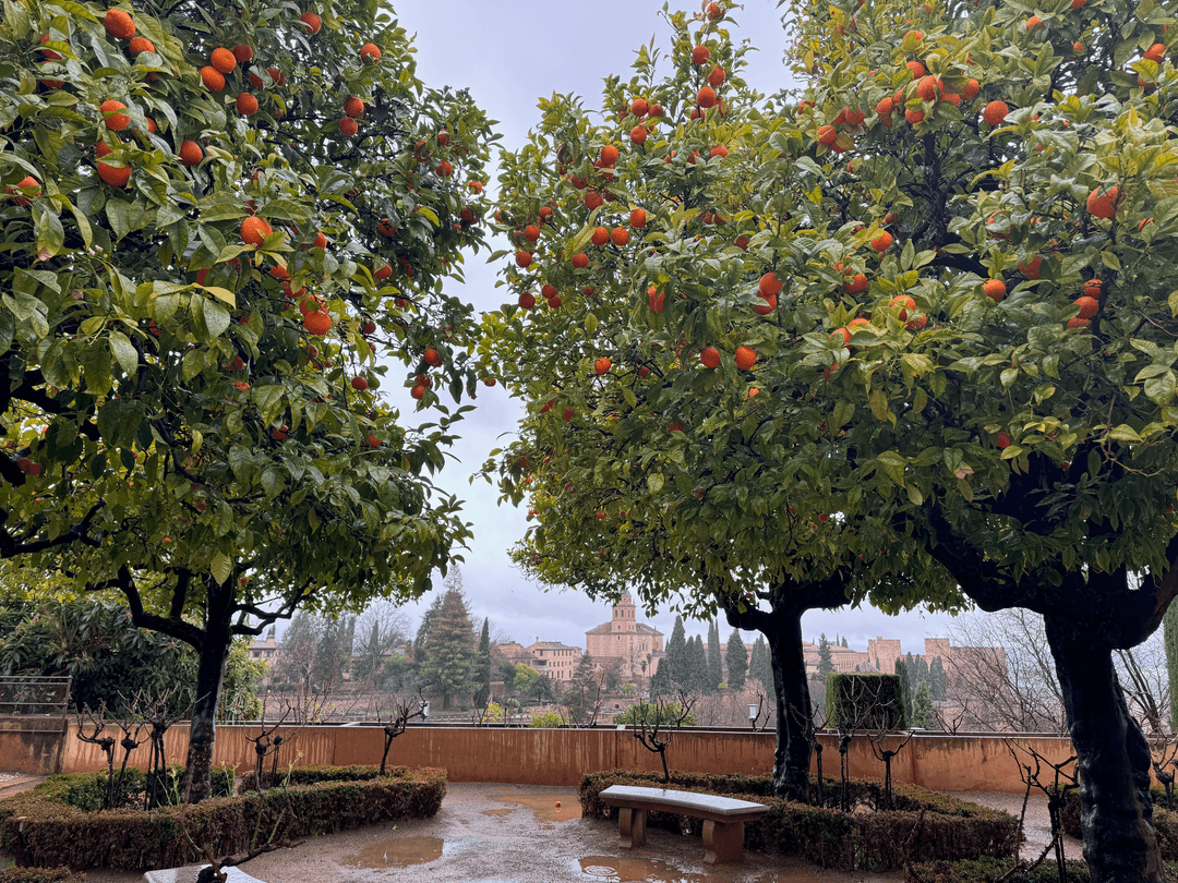 oranges alhambra