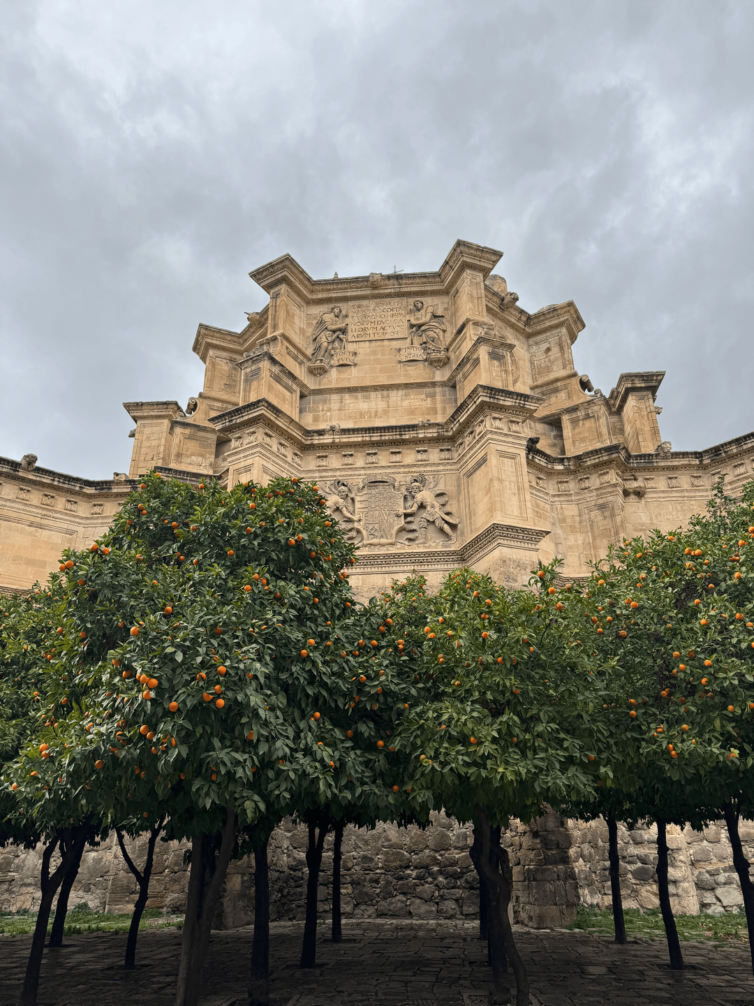 oranges